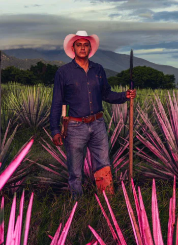 mijenta tequila